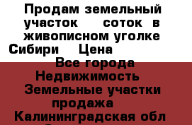 Продам земельный участок (40 соток) в живописном уголке Сибири. › Цена ­ 1 000 000 - Все города Недвижимость » Земельные участки продажа   . Калининградская обл.,Светлогорск г.